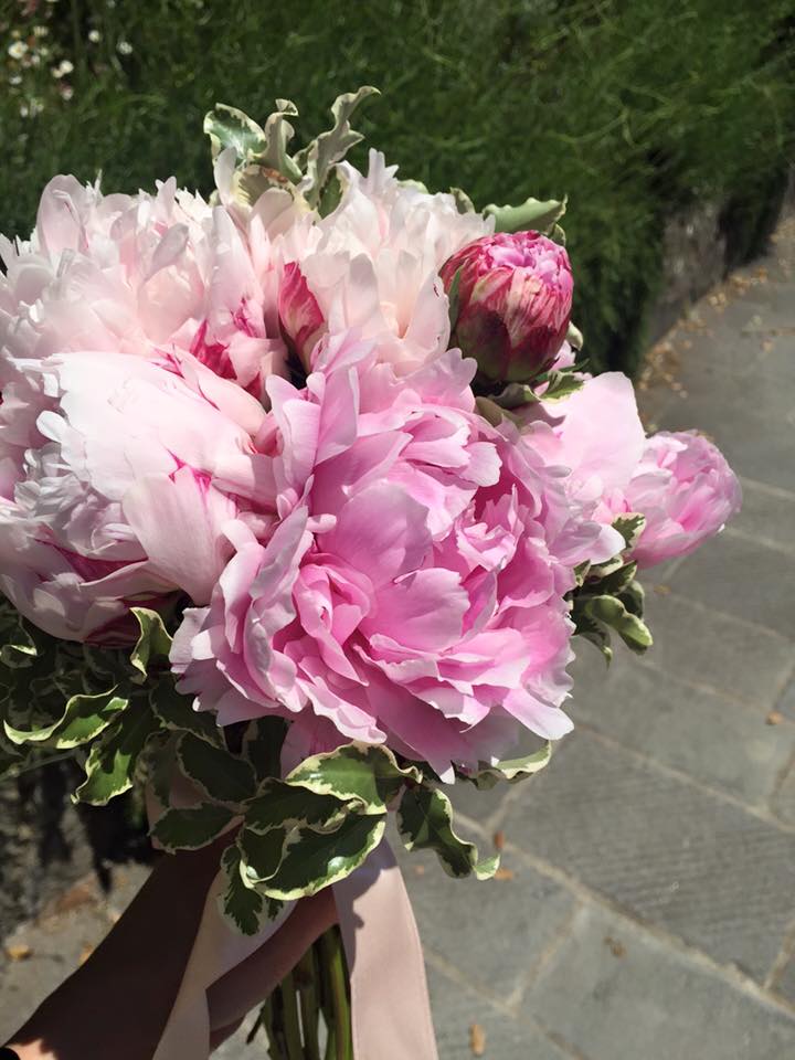 spapini 3 isognisondesiderievents taniapracchia